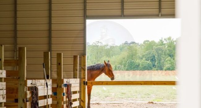 Copy_of_sbsfairview-21.max-1200x686